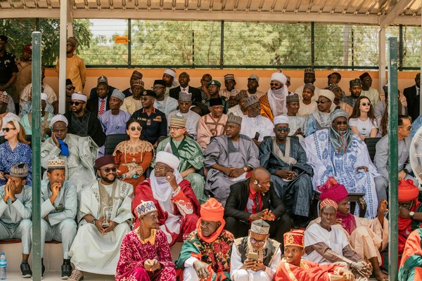 Découvrez les meilleures pensions pour chats : sécurité et confort