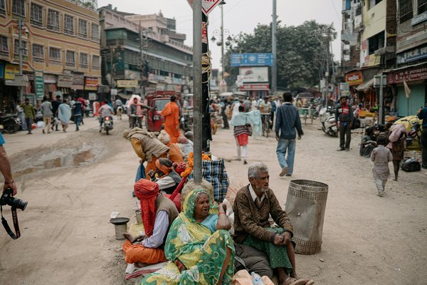 Comment le changement climatique affecte-t-il la biodiversité ?